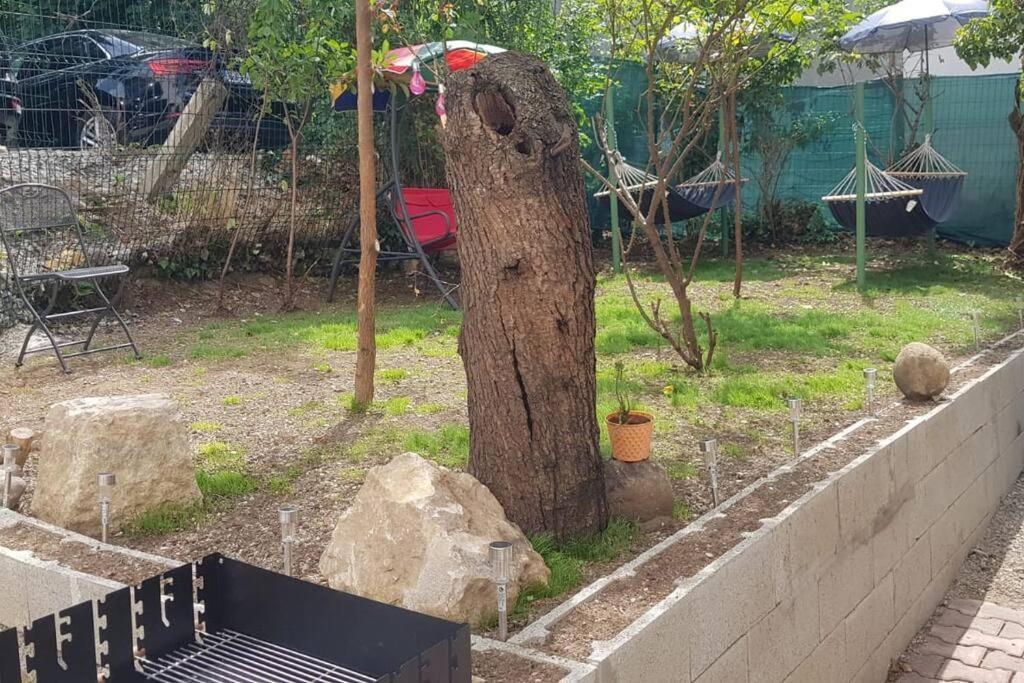 Josephine Central Villa & Garden Kaloşvar Dış mekan fotoğraf
